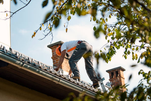Best Roof Repair Services  in Negaunee, MI