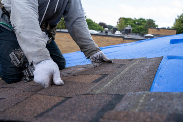 Best Roof Leak Repair  in Negaunee, MI