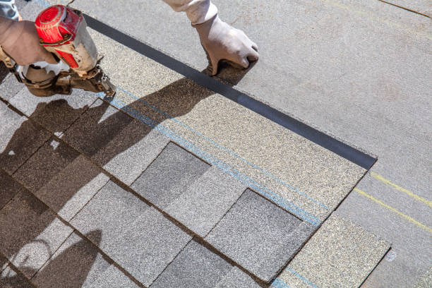Best Roof Maintenance Services  in Negaunee, MI