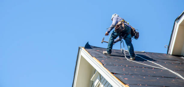 Best Roof Gutter Cleaning  in Negaunee, MI
